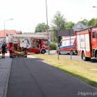 zdjęcie nr 8
