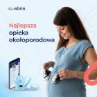 Fotka nr 4 z 5