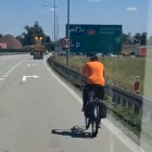 Fotka nr 1 z 2
