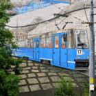Fotka nr 5 z 9