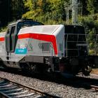 Fotka nr 2 z 4