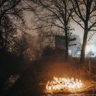 foto- Zwykła różnorodność