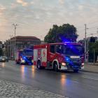 Fotka nr 4 z 11
