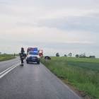 Fotka nr 2 z 3