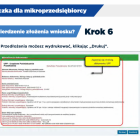 zdjęcie nr 12
