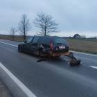 Fotka nr 1 z 5