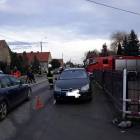 Fotka nr 1 z 11