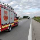 Fotka nr 5 z 7
