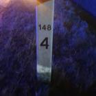 Fotka nr 5 z 11