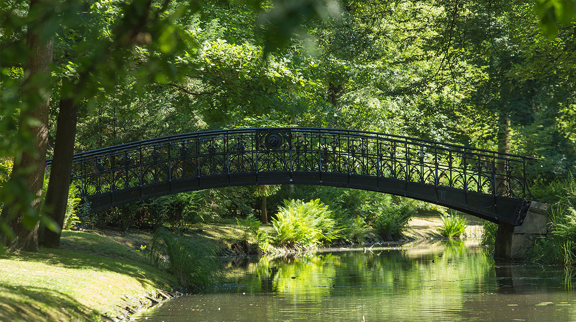 Zdjęcie: Wrocław wiadomości Portal Miejski Wrocławia 24wroclaw