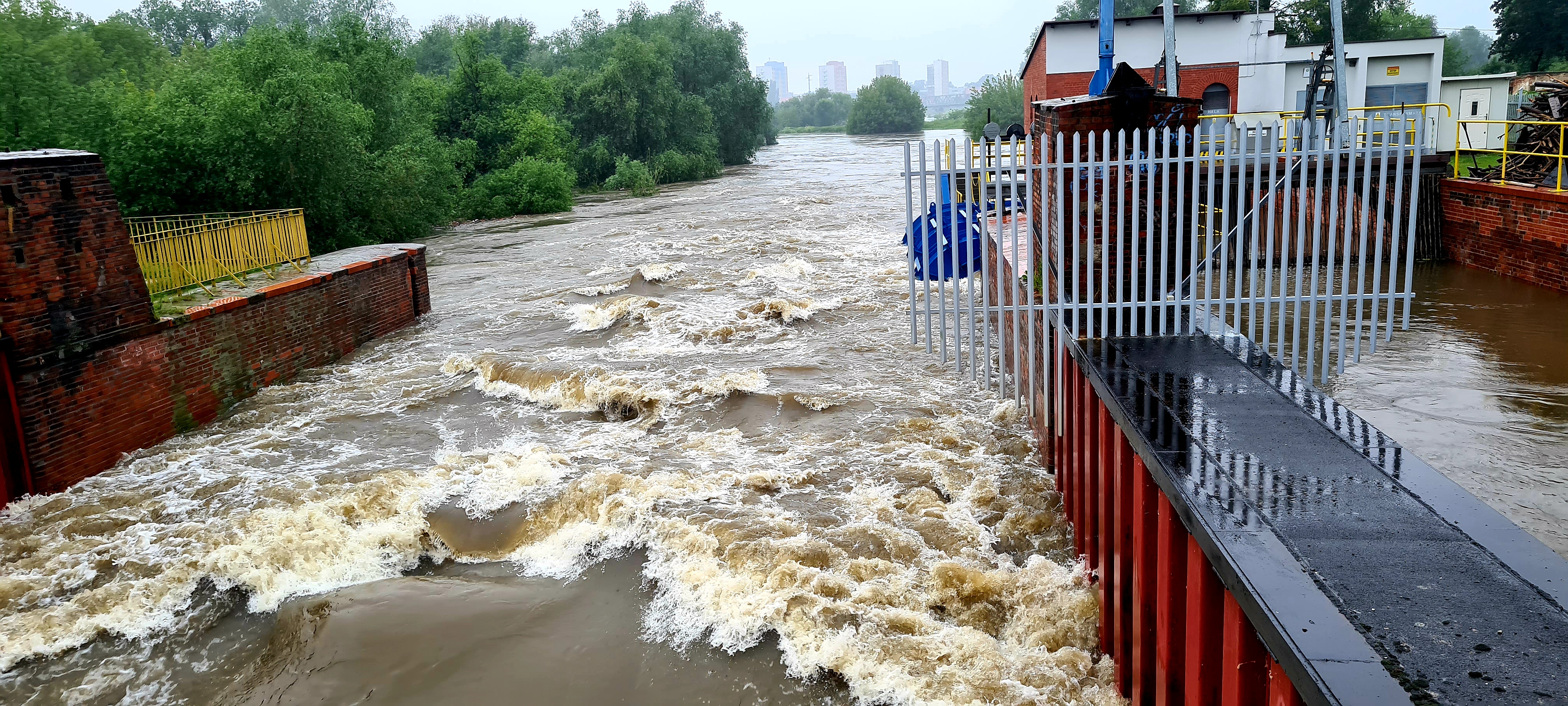 Zdjęcie: Wrocław wiadomości Portal Miejski Wrocławia 24wroclaw