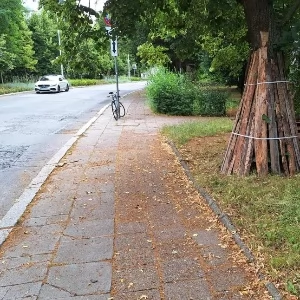 Zdjęcie: Wrocław wiadomości Portal Miejski Wrocławia 24wroclaw