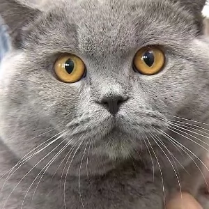 Zdjęcie: Wrocław wiadomości Portal Miejski Wrocławia 24wroclaw