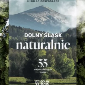 Zdjęcie: Wrocław wiadomości Portal Miejski Wrocławia 24wroclaw