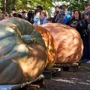 Zdjęcie: Wrocław wiadomości Portal Miejski Wrocławia 24wroclaw