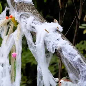 Zdjęcie: Wrocław wiadomości Portal Miejski Wrocławia 24wroclaw