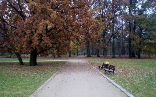 Zdjęcie: Wrocław wiadomości Portal Miejski Wrocławia 24wroclaw