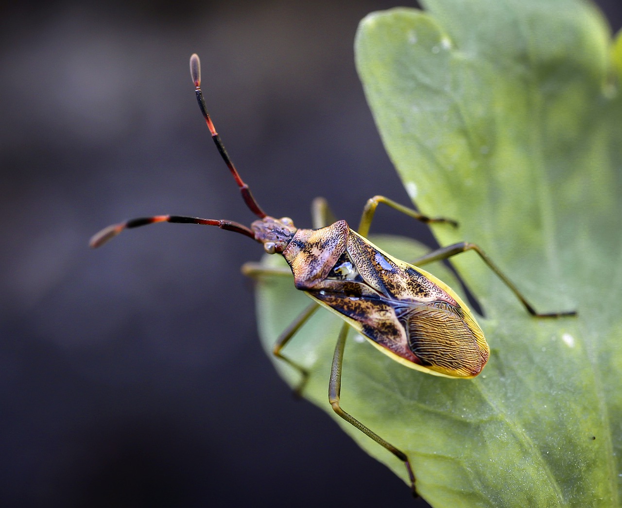 Zdjęcie: Wrocław wiadomości Portal Miejski Wrocławia 24wroclaw