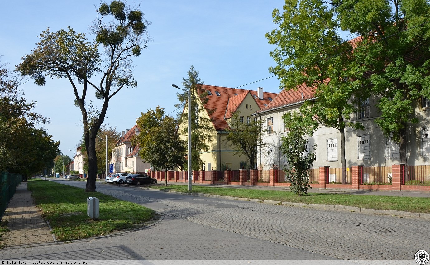Zdjęcie: Wrocław wiadomości Portal Miejski Wrocławia 24wroclaw