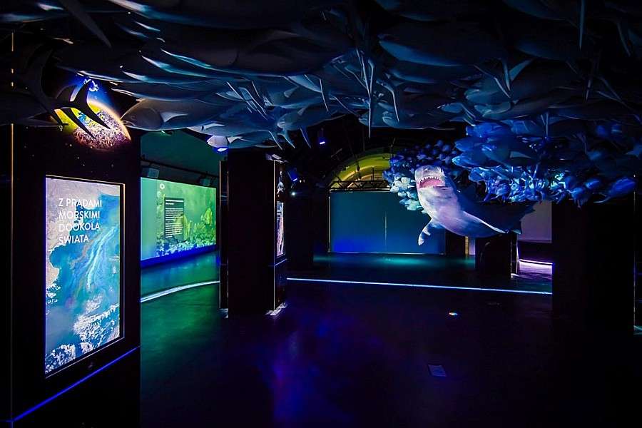 Zdjęcie: Wrocław wiadomości Portal Miejski Wrocławia 24wroclaw