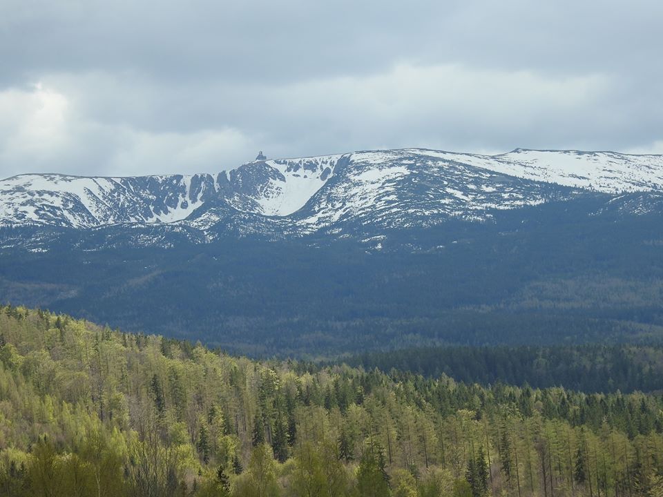 Zdjęcie: Wrocław wiadomości Portal Miejski Wrocławia 24wroclaw