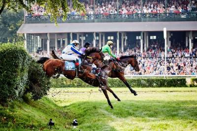 Zdjęcie: Wyścigi konne Wrocław Sport 24wroclaw