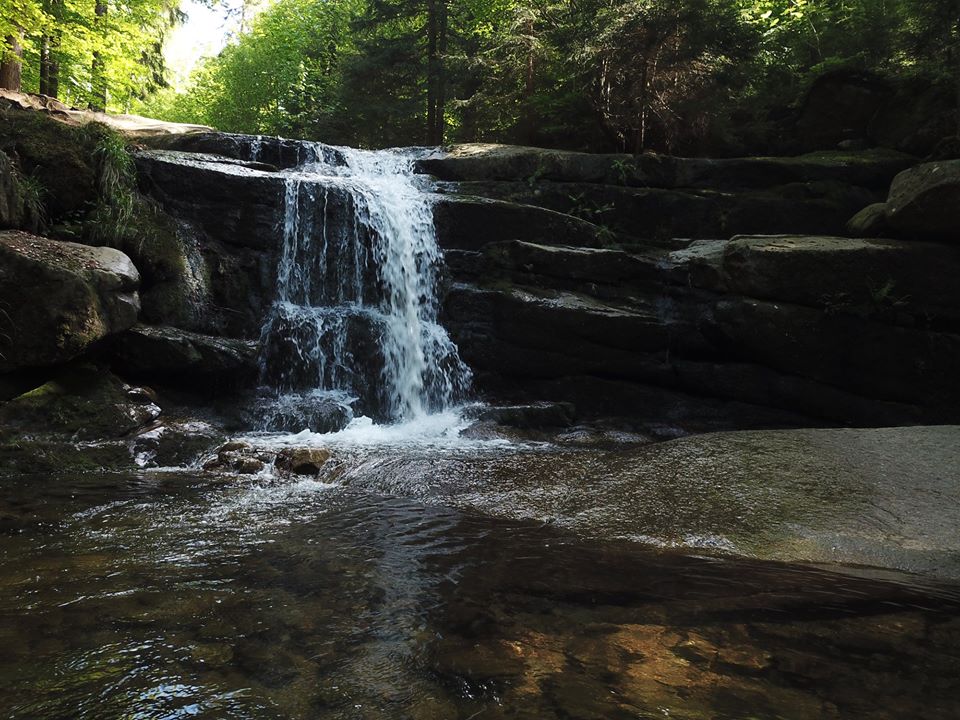 Zdjęcie: Wrocław wiadomości Portal Miejski Wrocławia 24wroclaw