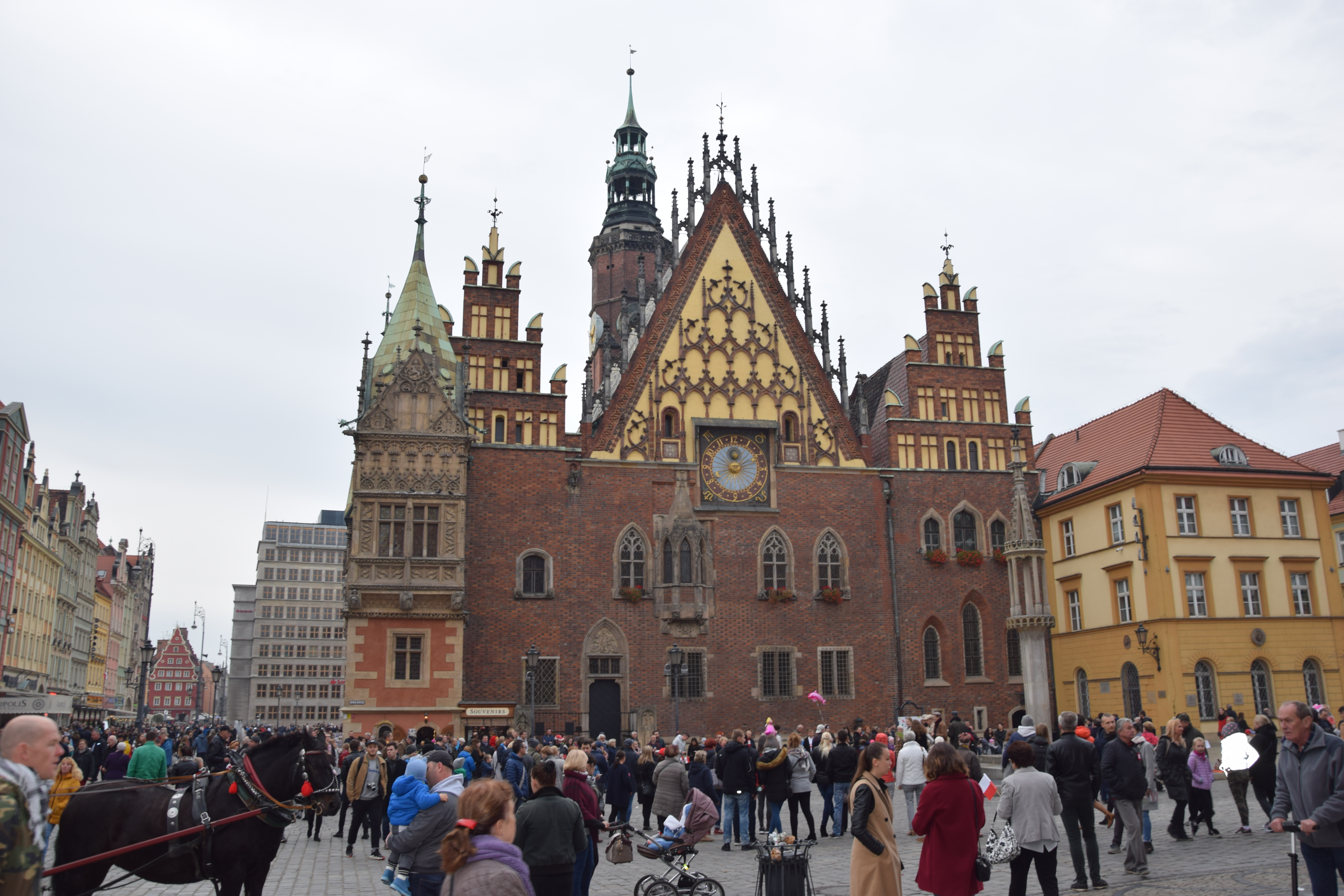 Zdjęcie: Wrocław wiadomości Portal Miejski Wrocławia 24wroclaw