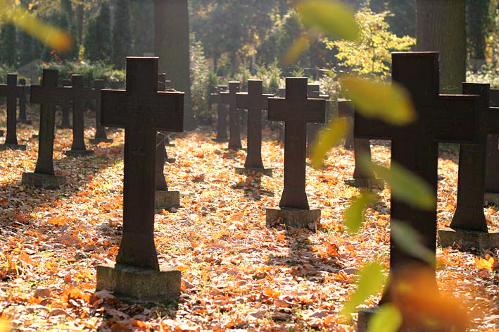 Zdjęcie: Wrocław wiadomości Portal Miejski Wrocławia 24wroclaw