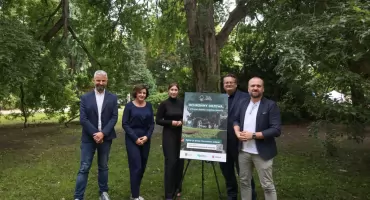 Pomniki z historią w korzeniach – startuje kampania na rzecz drzew-pomników przyrody we Wrocławiu