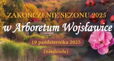 Ostatni moment, by zobaczyć jesienne piękno Arboretum Wojsławice
