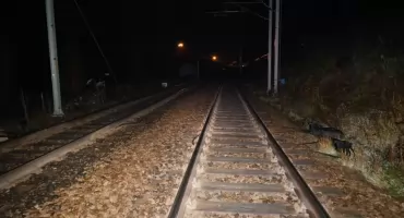 Niszczył infrastrukturę kolejową i włamywał się do piwnic. 29-latek z Miłkowic w areszcie