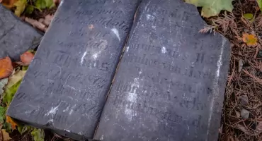 Ogród Botaniczny odkrywa tajemnice przeszłości. Pod szklarnią odkryto XIX-wieczne nagrobki i szczątki dawnych mieszkańców Wrocławia