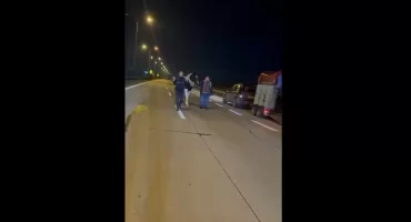 Koń uciekinier zatrzymany na A4. Nocna wędrówka autostradą w okolicach węzła Krzywa. FILM