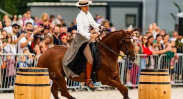 Rekordowa liczba zgłoszeń. Przed nami Mistrzostwa Polski w Working Equitation na wrocławskich Partynicach