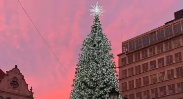 Rozświetlenie choinki we Wrocławiu. Poczuj magię Świąt na Rynku
