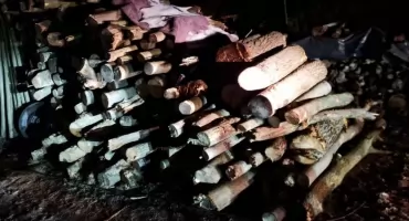 Przyłapani na gorącym uczynku i ujęci obywatelsko. Zatrzymano ich z maczetą i siekierą