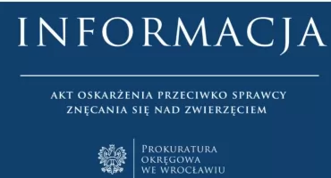 Wyrzucił królika w klatce z pierwszego piętra. Jest akt oskarżenia prokuratury we Wrocławiu