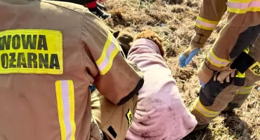 Dramatyczna akcja ratunkowa w rejonie Mostu Brodzkiego. Pies wpadł do wody, właścicielka ruszyła mu na pomoc