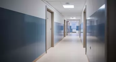 To nie tylko schronisko. Przy Bogedaina we Wrocławiu powstało miejsce prawdziwej opieki