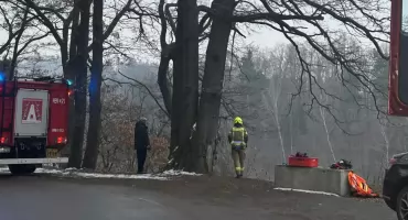 Tragiczne odkrycie w Pilchowicach. Trwa identyfikacja zwłok