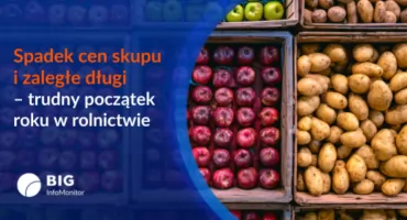 Rolnictwo pod presją niskich cen i długów Trudny start 2026 roku dla producentów rolnych
