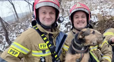 Pies utknął w norze nad Odrą. Strażacy z Wrocławia ruszyli na ratunek