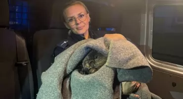 Bóbr uratowany przez policjantów z Góry. Zwierzę wróciło do swojego naturalnego środowiska