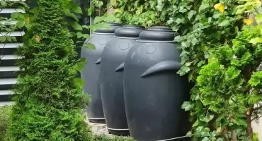 Ruszyła nowa edycja programu „Złap Deszcz” we Wrocławiu. Większy budżet i szersze możliwości dla mieszkańców