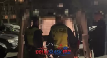 Kolizja, ucieczka i obywatelskie zatrzymanie w Jeleniej Górze. Kobieta zakuta w kajdanki po policyjnej interwencji. Zobacz film z pogoni za Hyundaiem