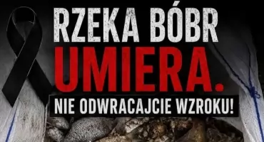 Ratujmy rzekę Bóbr, zanim będzie za późno. Protest w Kaczorowie może utrudnić przejazd trasą Wrocław – Jelenia Góra