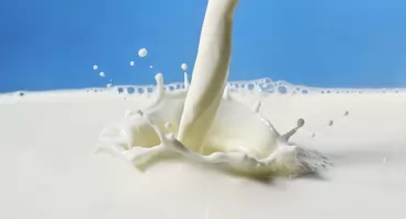 Jak rozpoznać, że mleko się zepsuło?