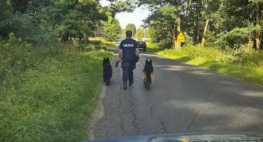 Uciekły z domu i przeszły blisko 20 kilometrów. Wyczerpane owczarki znalazły pomoc