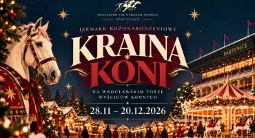 Partynice zmienią się nie do poznania. Tej zimy powstanie tu „Kraina Koni”